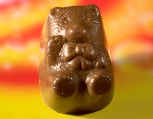 Honeybear